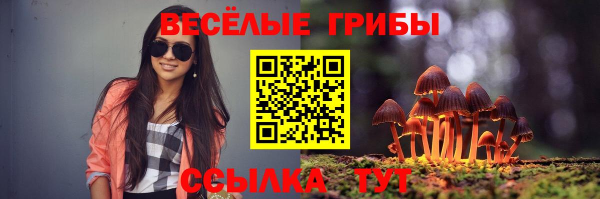 Псилоцибиновые грибы ЛСД Краснокаменск